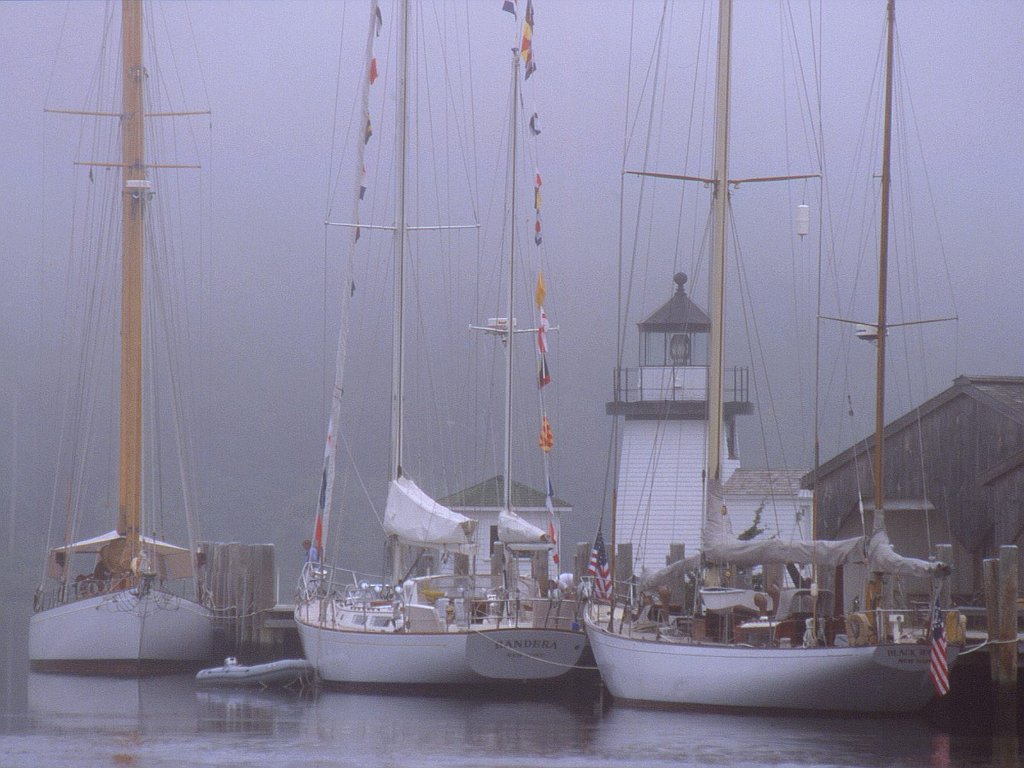 Mystic in Fog